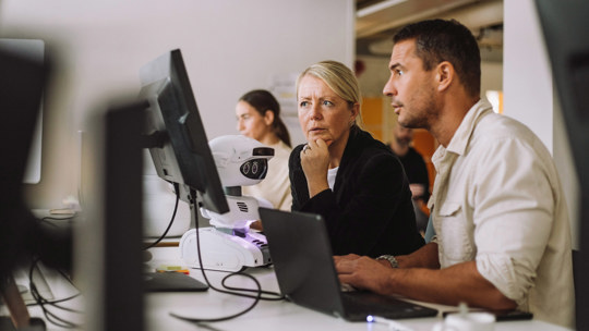 SAP Basis support for RISE with SAP